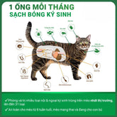 Nhỏ Gáy Cho Mèo Nexgard Combo Phòng & Trị Nội, Ngoại Ký Sinh - Paddy Pet Shop